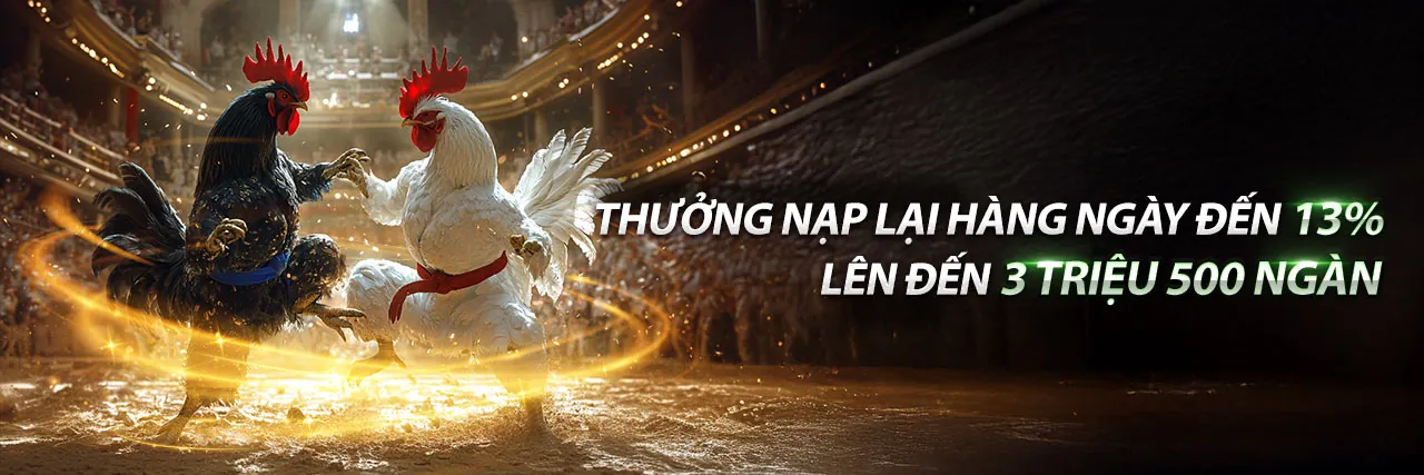 Hình ảnh chính đá gà trực tuyến 18win